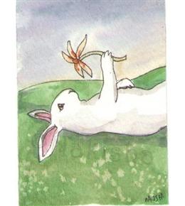 兔子薄荷