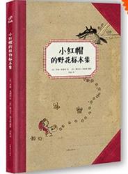《植物也可以这样玩》•创意标本系列读书会（二）——野花，巴拉巴拉变！