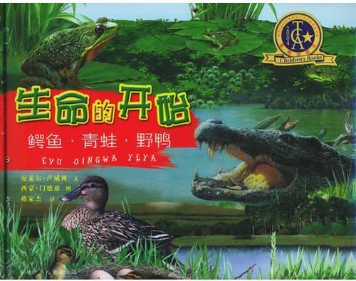 生命的开始：鳄鱼·青蛙·野鸭