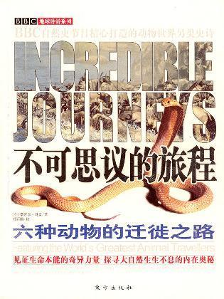 不可思议的旅程