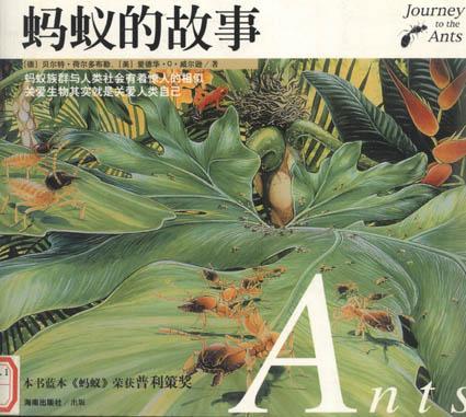 蚂蚁的故事 