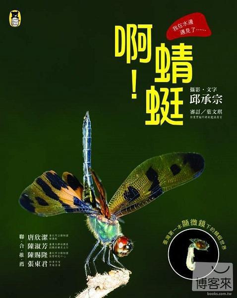 啊！蜻蜓