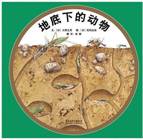 地底下的动物