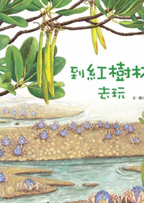 到紅樹林去玩